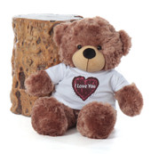 Brown teddy bear