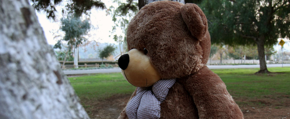 5-foot-big-giant-teddy-brand-sunny-cuddles.jpg 5-foot-big-giant-teddy-brand-sunny-cuddles.jpg