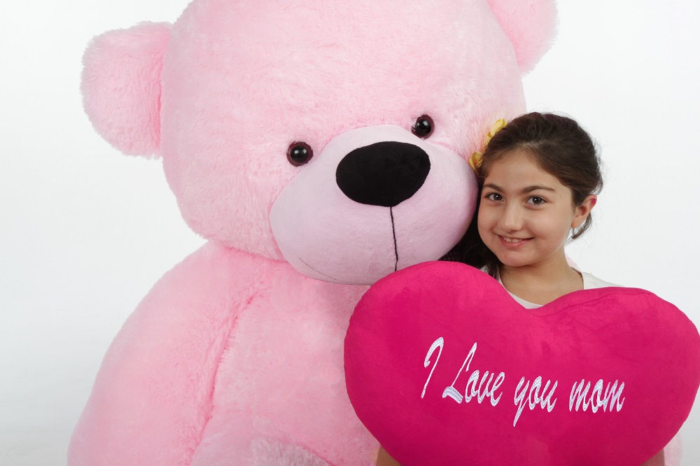 A Girl Holding a Pink Heart Shaped Teddy Bear