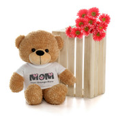 Adorable 2 Foot Amber Brown Teddy Bear with Personalized Mother's day T-shirt