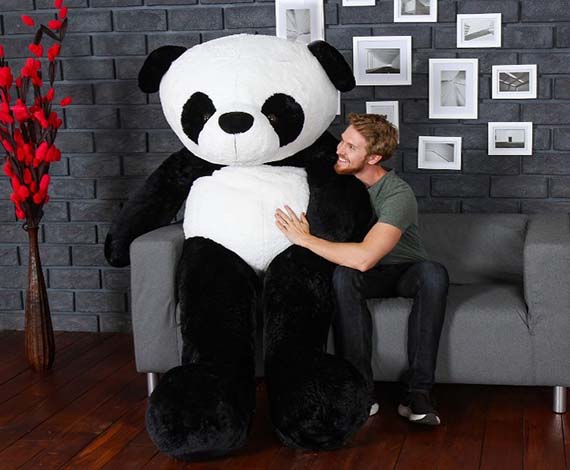 A Teddy Bear for Every Occasion