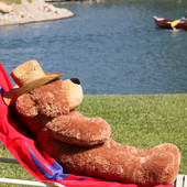 Big 4 feet Huggable Brown Teddy Bear